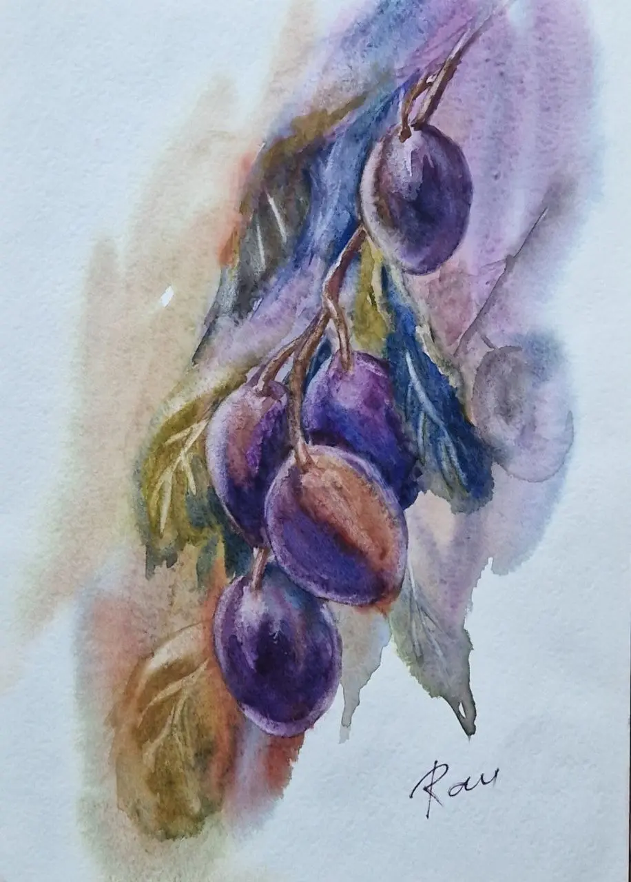 švestka. akvarel. 20x30